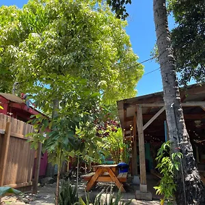  Auberge de jeunesse Banana Maui
