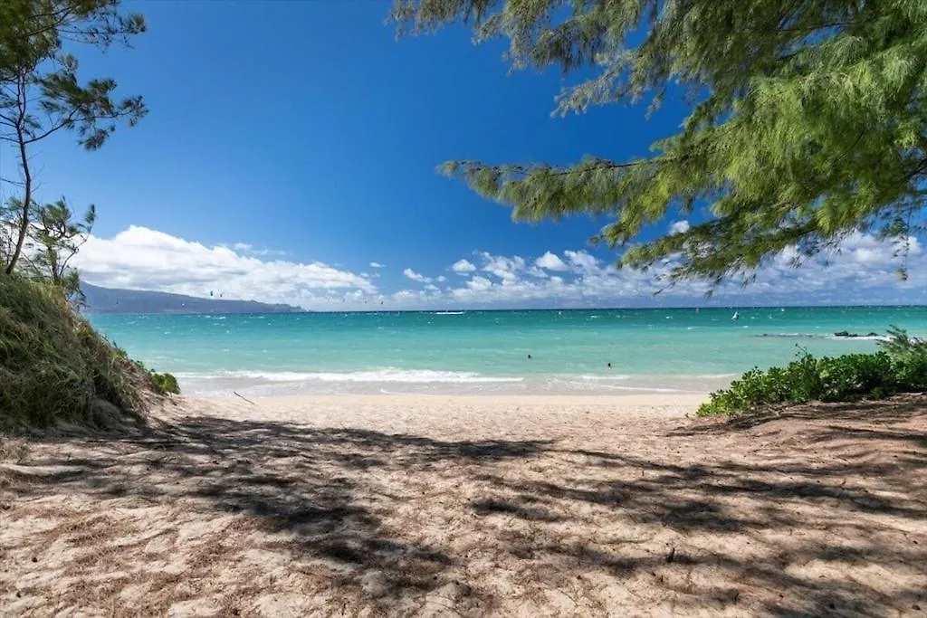 Unit 12 Maui Ohana Modern Studio 와일루쿠 아파트